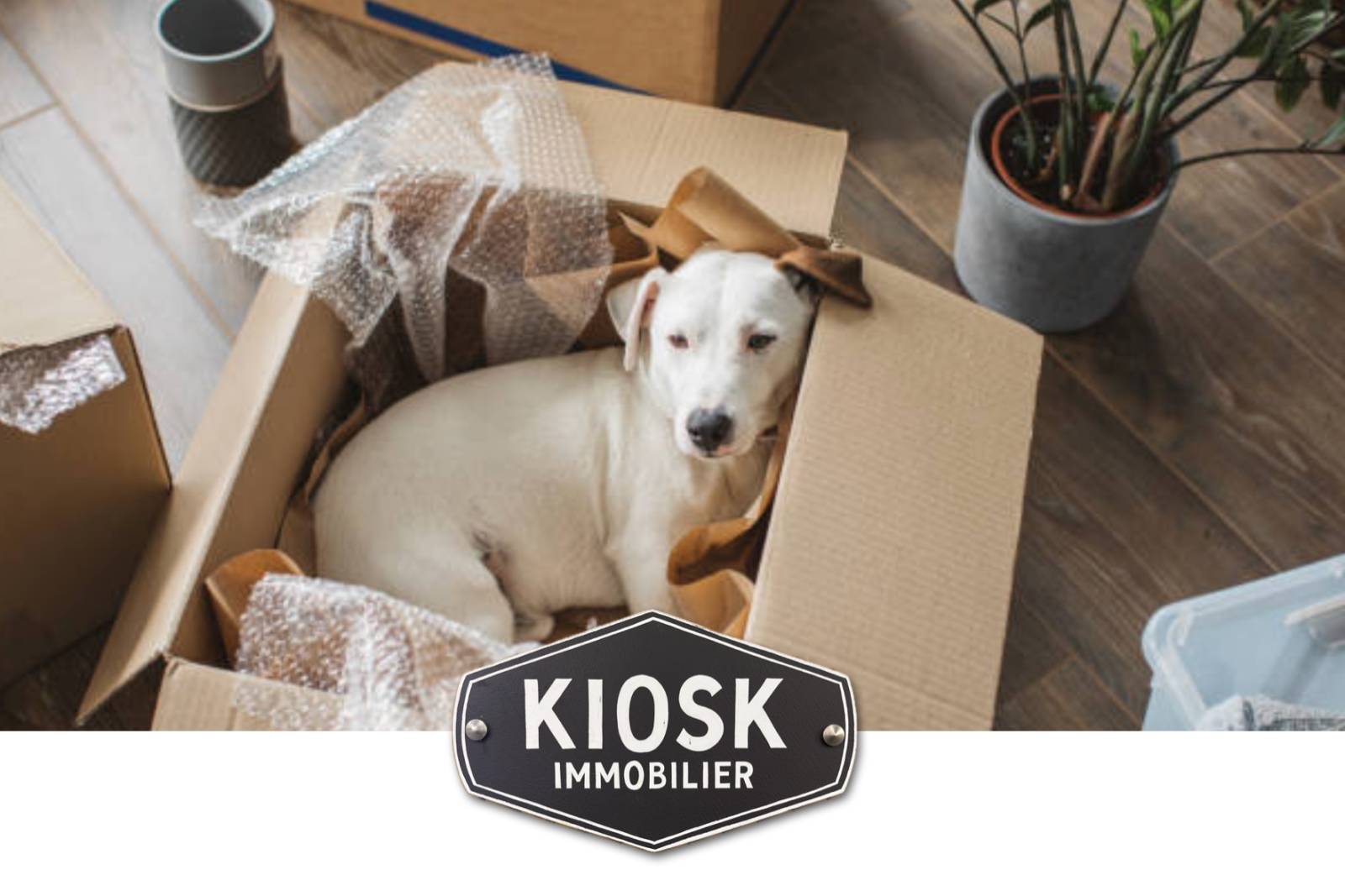 Sous louer son appartement à Paris: règles légales, conseils pratiques et solutions simples pour rester en conformité